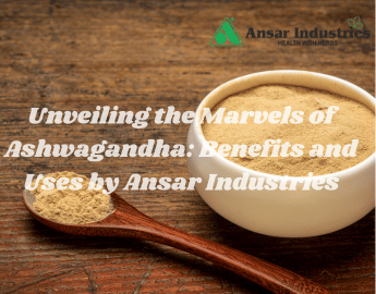 Benefits Of Ashwagandha Powder | Ansar Industries